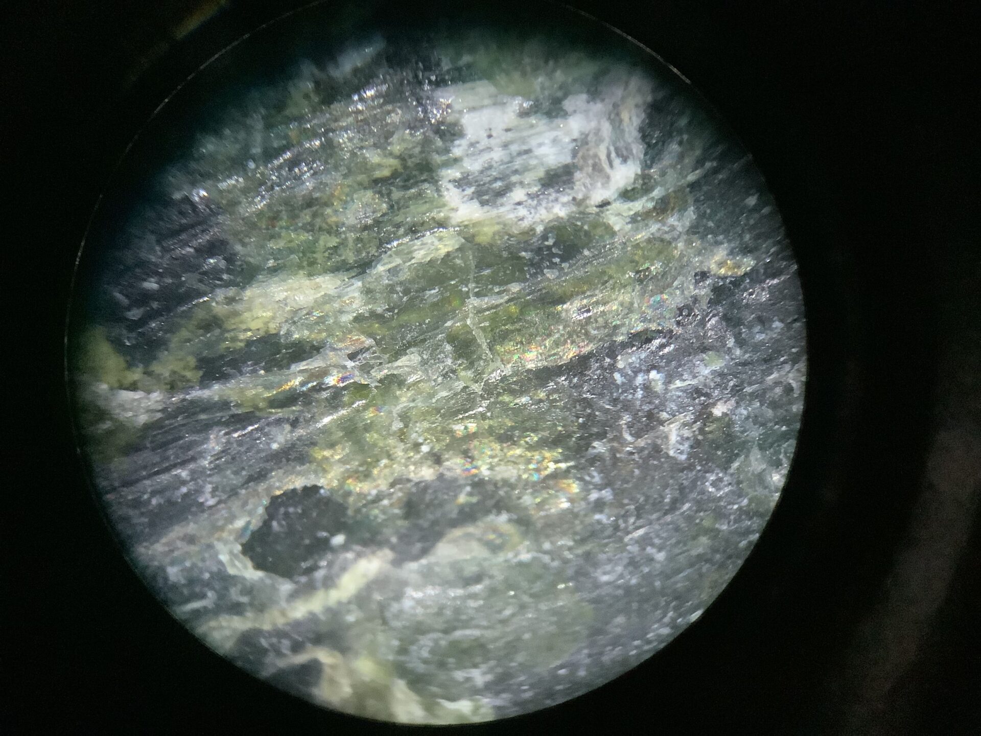 蛇紋岩（石ころ写真集） | まめけびのごきげん数学・物理